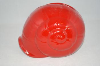 Muschel Mohn